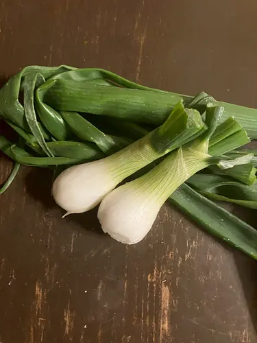 【葉玉ねぎ】