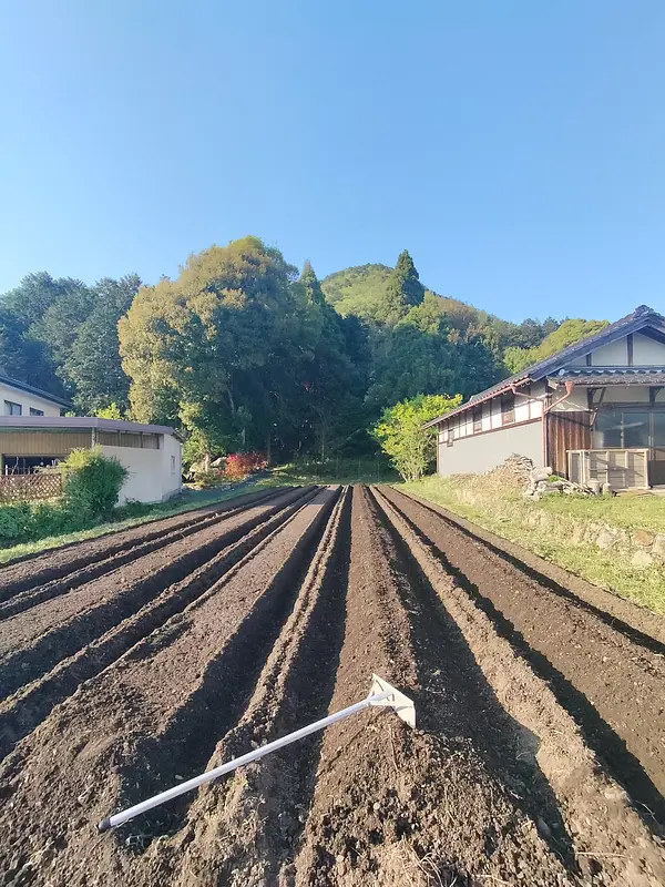今日も美しい♪♪