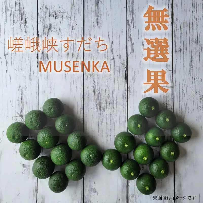 嵯峨峡すだち　無選果　1kg