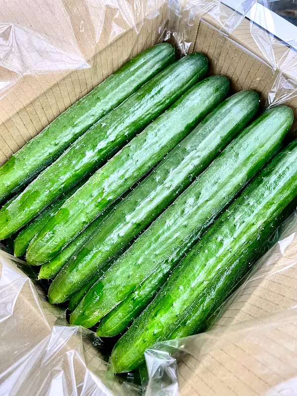 販売終了のお知らせ