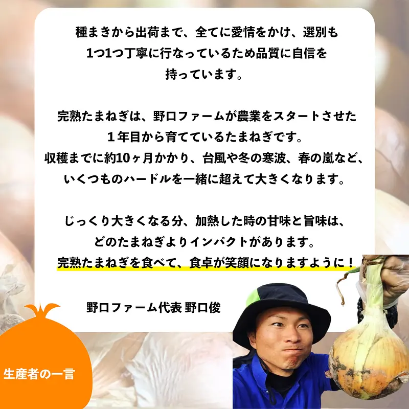 【北海道・沖縄】mama-yasai 完熟たまねぎ５kg
