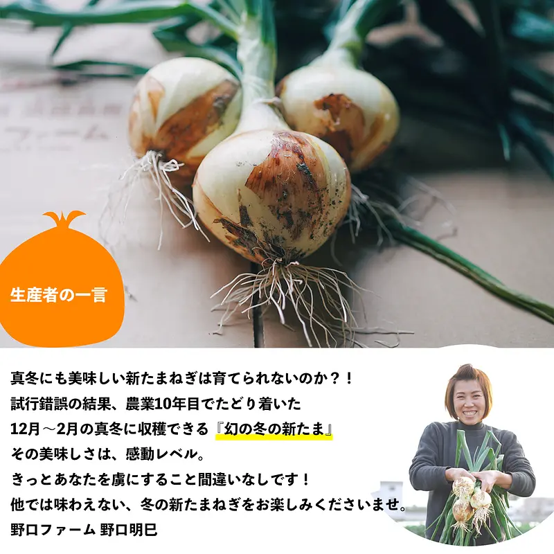 淡路島⭕幻の冬の新たま⭕子どもたちがパクパク食べちゃう