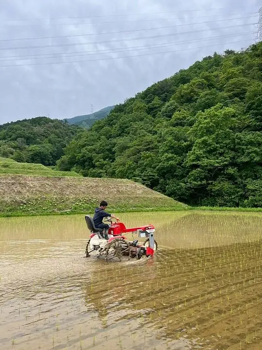 代かき、田植え、除草作業の真っ最中！