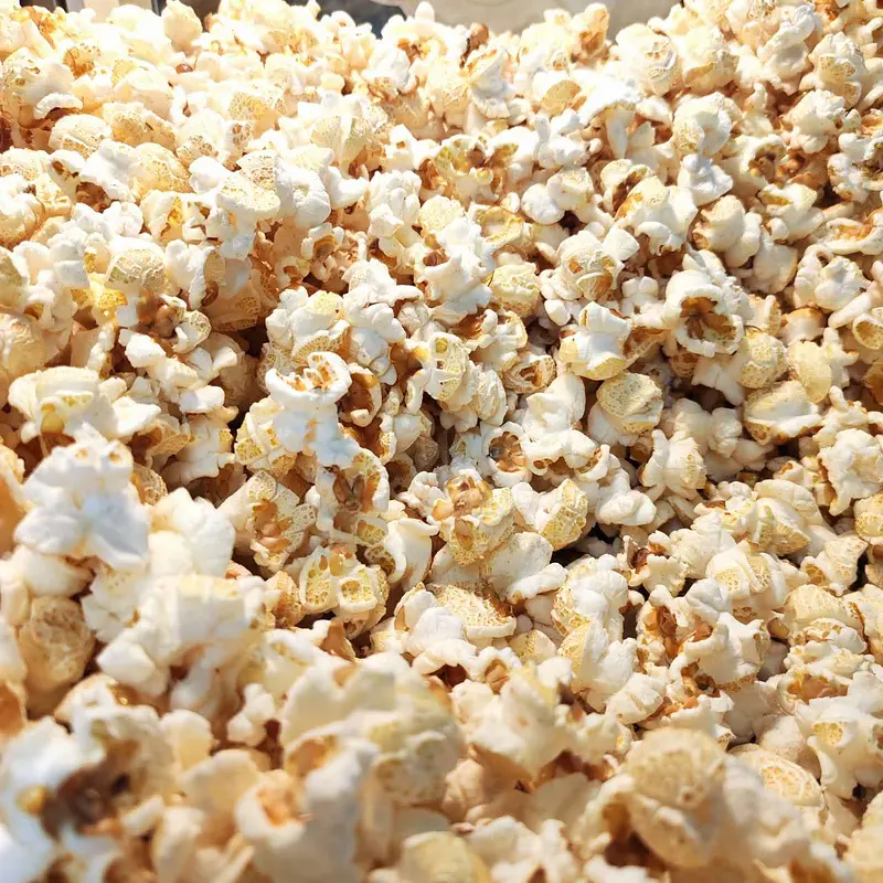楽しいコトが好きな人専用：爆発前ポップコーン（乾燥とうもろこし） 100g（送料無料）