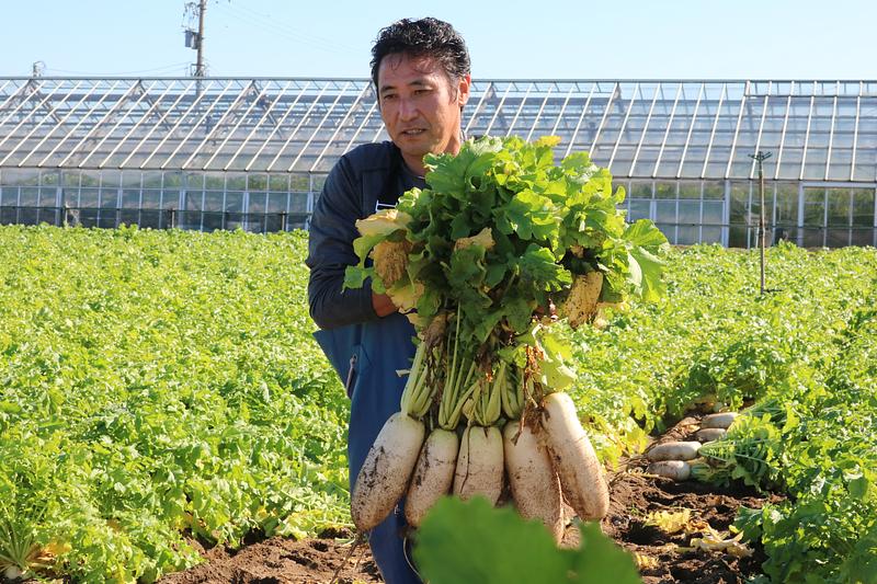【2023年1月から始動！】金沢の伝統野菜「源助だいこん」の商品開発プロジェクト！