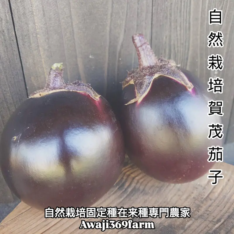 でっかい自然栽培のなす