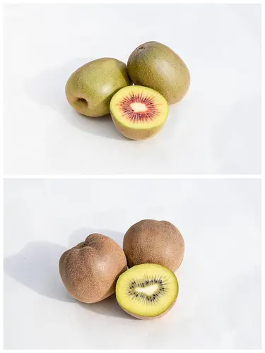【愛媛県産キウイ赤黄2種セット(紅妃(こうひ)＆センセーションアップル)　計4.5kg　】(事業者向け)