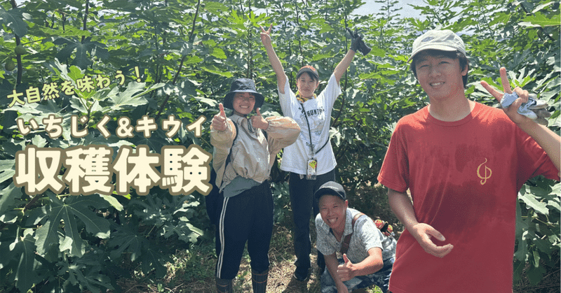 【いちじくの収穫体験に行ってきた！】愛媛県の大自然でリフレッシュ時間♪