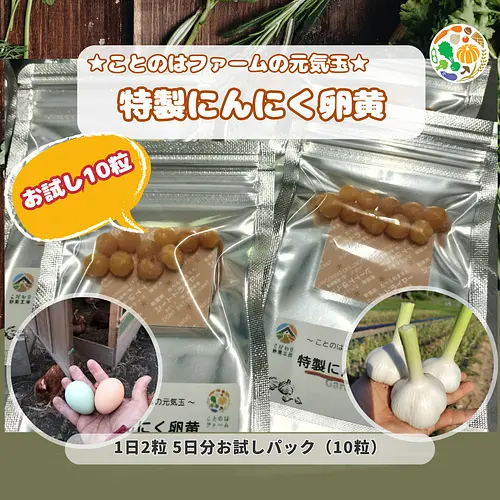 頑張りたい人専用：特製にんにく卵黄 5日分お試しパック（10粒）送料無料