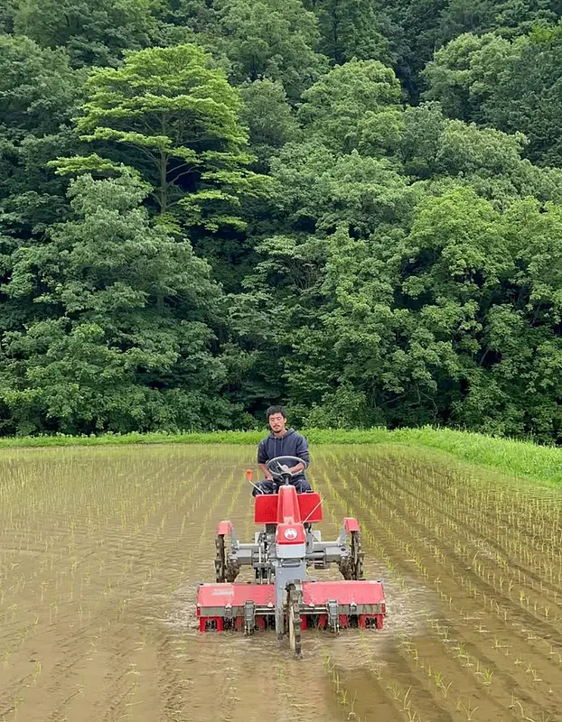 第二弾「浄瑠璃米」の田植え