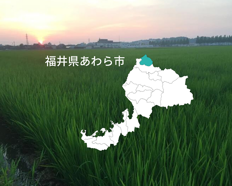 農薬・化学肥料不使用！安心安全な「特別栽培米」を育てる田んぼのシェアオーナー