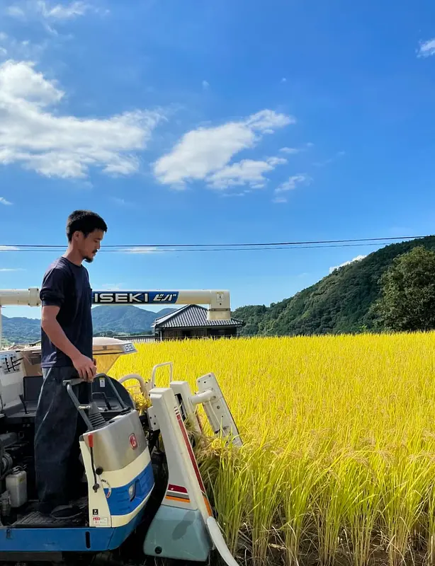 前年の田植えの様子Part2