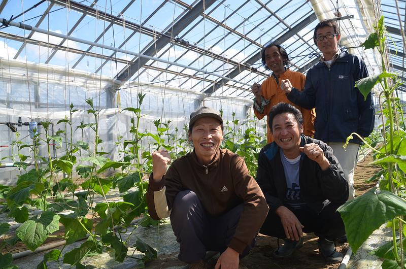 【2日間ハッカソン（4/15・4/16）】金沢の伝統野菜「加賀太きゅうり」の商品開発プロジェクト！