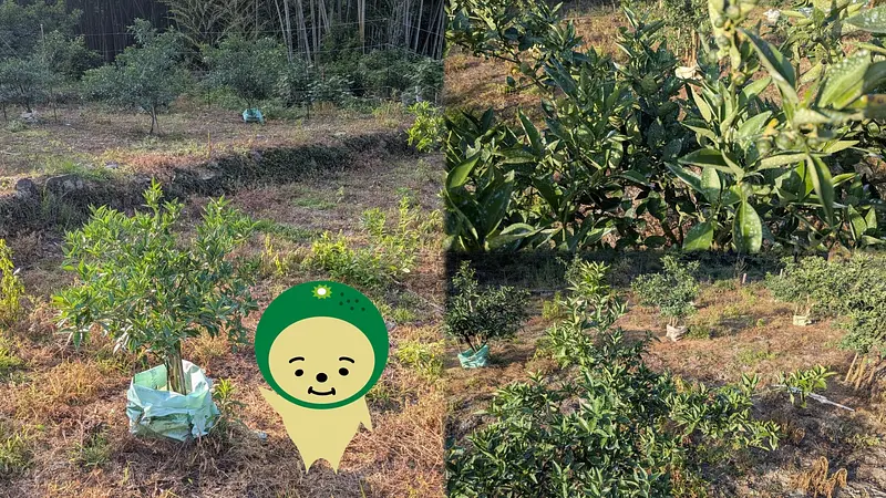 ✨はじめての実りへ