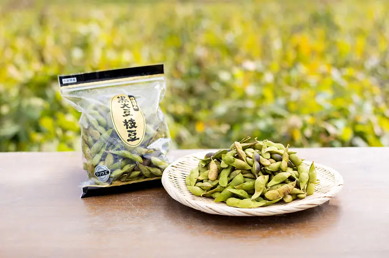 丹波と言えば黒大豆枝豆！