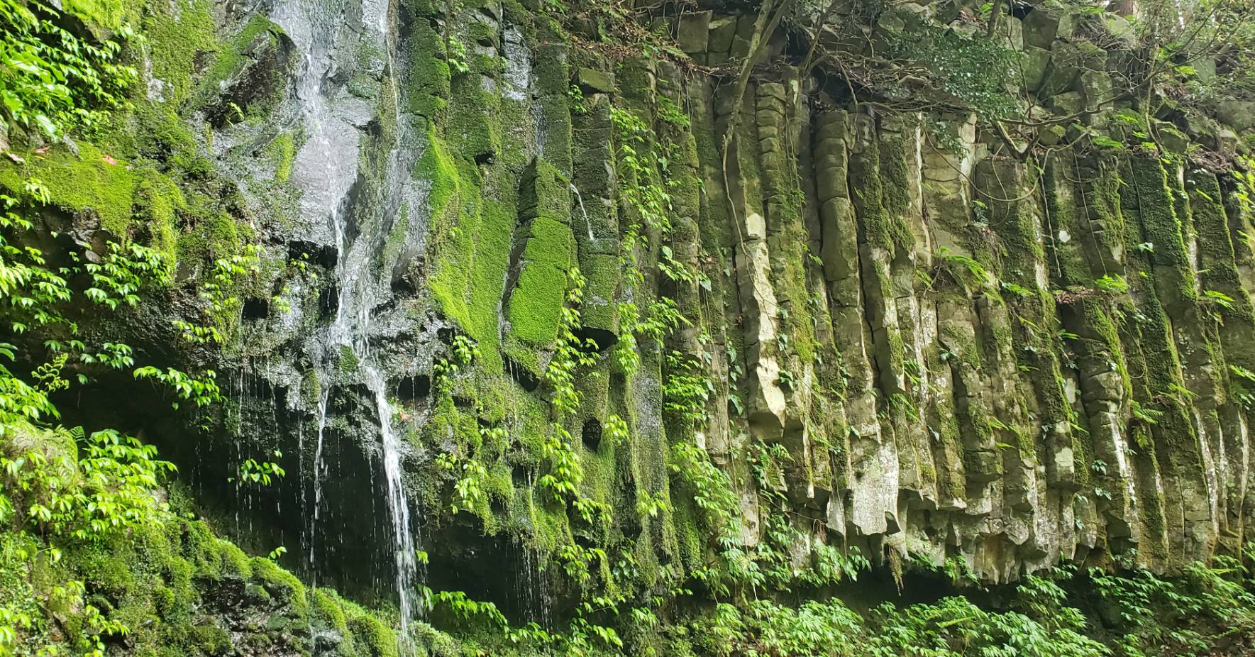 まぼろしの滝「鷲滝」 | Pocket Owners (ポケット・オーナーズ)
