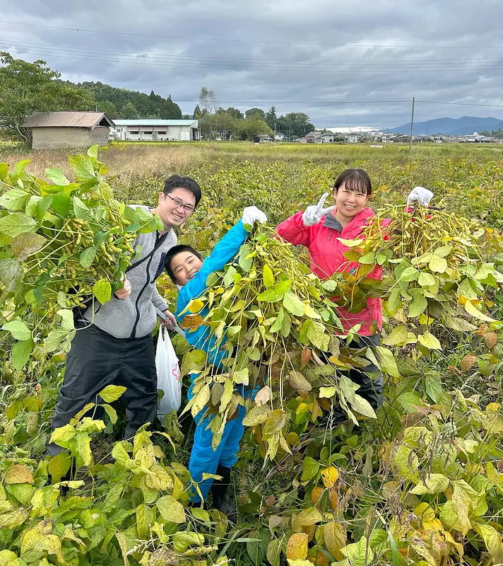 丹波篠山の農業遺産 有機栽培への挑戦「無農薬黒枝豆」のシェアオーナー