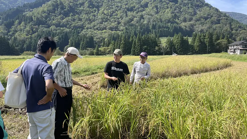 持続可能なまちづくりに貢献！「五箇山超特別栽培米」のシェアオーナー