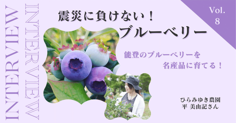 【生産者インタビュー🎤】🫐震災に負けない！能登ブルーベリーを名産品に育てる 石川県   ひらみゆき農園 平美由記さん🫐