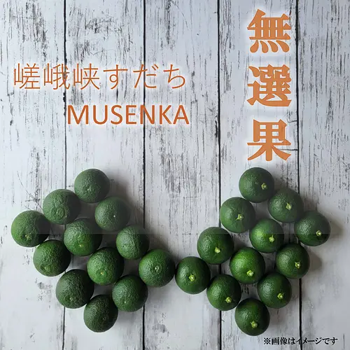 嵯峨峡すだち　無選果　3kg