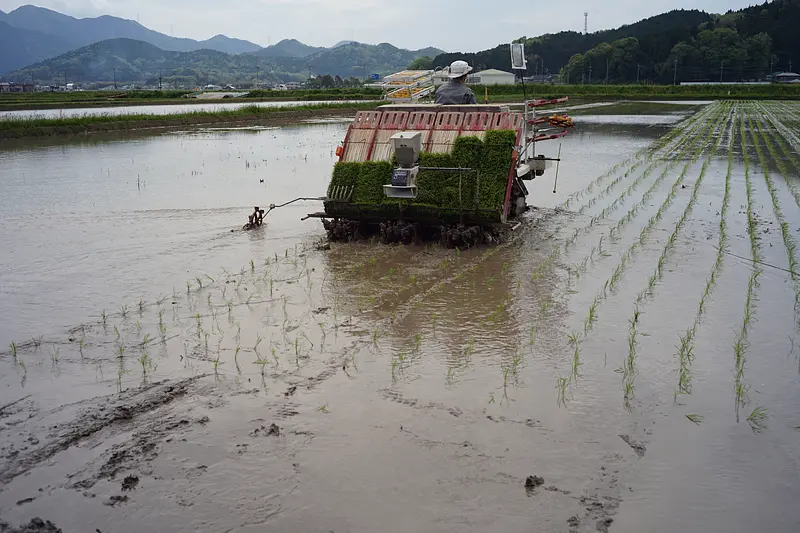田植え順調に進んでます！