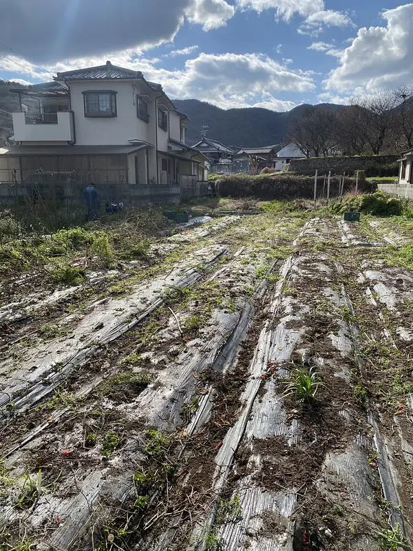 春の大掃除大作戦～After～