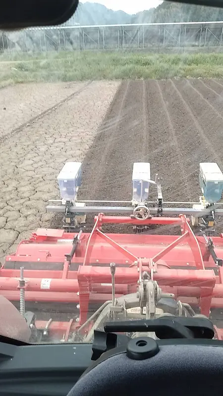 デカンショ豆本格始動！！