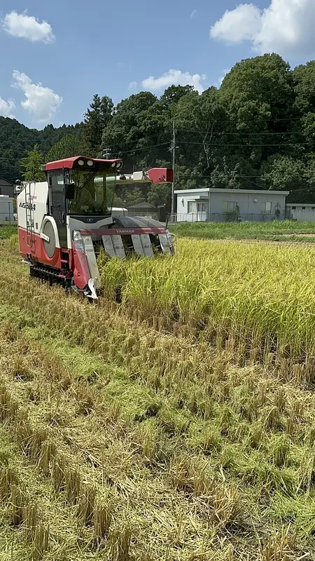 🌾お米の収穫🌾