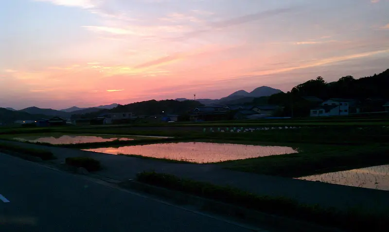 田植え後の篠山