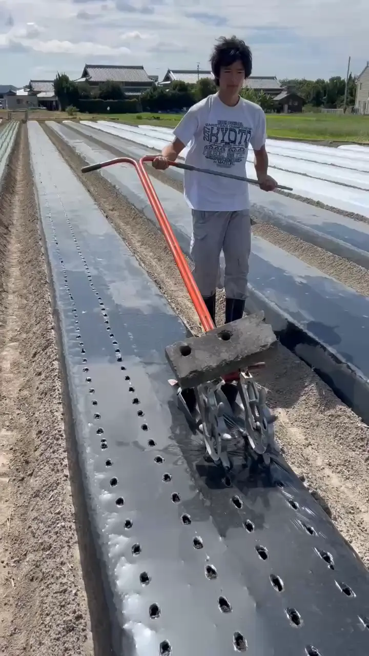 少し真面目なお話