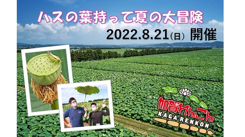 【8月21日(日) に開催！】限定30組・夏の加賀れんこん収穫体験
