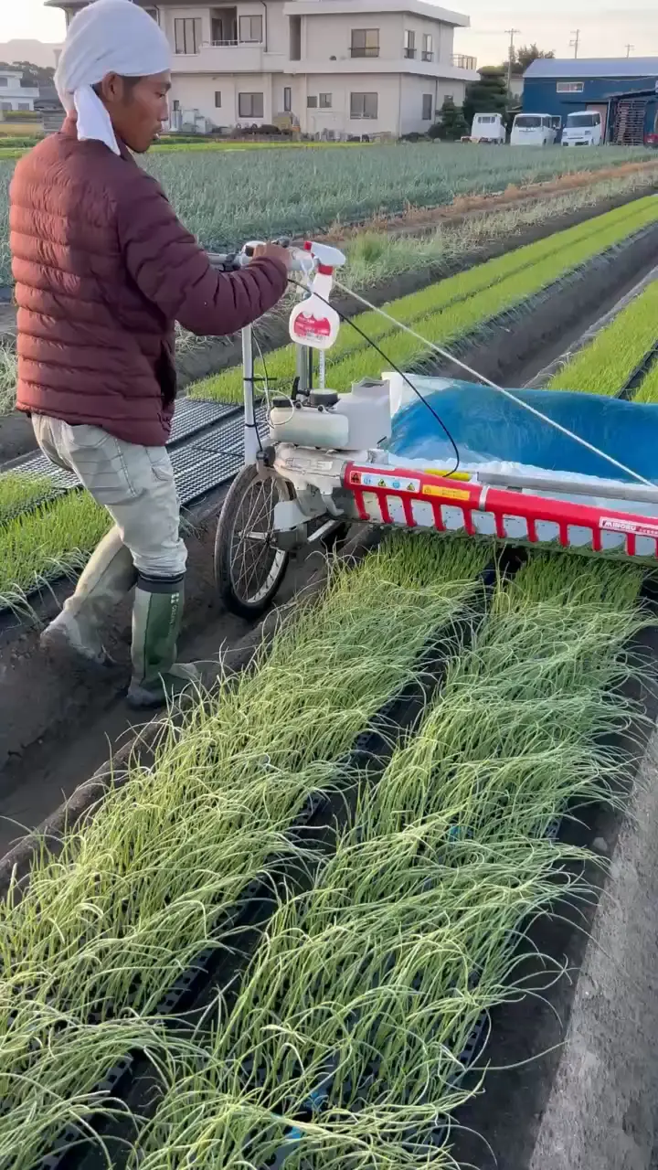 角刈り 玉ねぎver