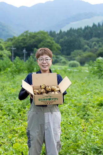 【飲食店専用】【高原野菜】兵庫県但馬産　きたあかり３kg