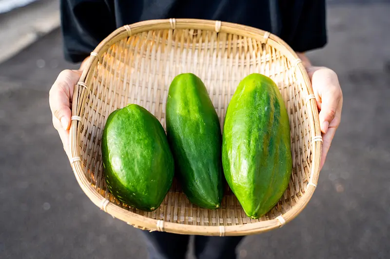 胃もたれ…していませんか？青パパイヤで消化不良を防ごう！