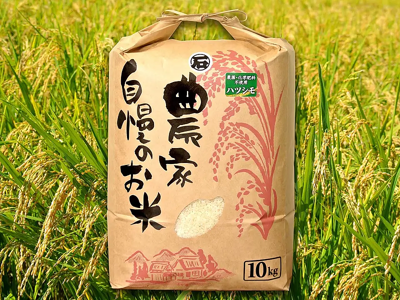 幻のお米【初霜】を農薬・化学肥料不使用で育てる田んぼのシェアオーナー