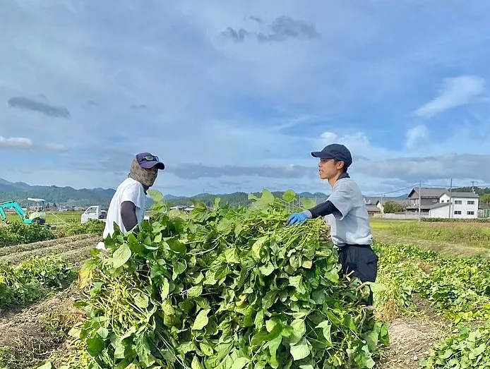 丹波篠山の農業遺産 有機栽培への挑戦「無農薬黒枝豆」のシェアオーナー
