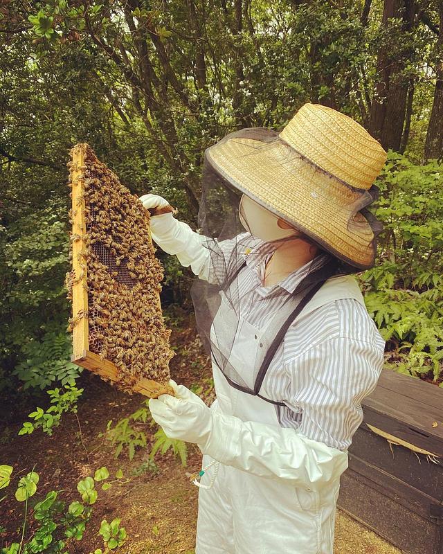 はちみつでより健康に美しく。女性養蜂家が育てる養蜂箱シェアオーナー
