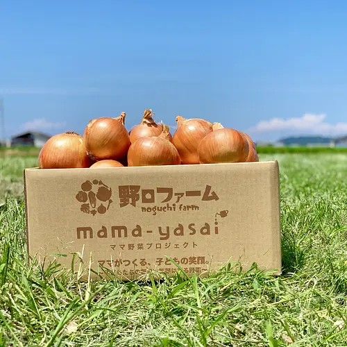 【北海道・沖縄】mama-yasai 完熟たまねぎ５kg