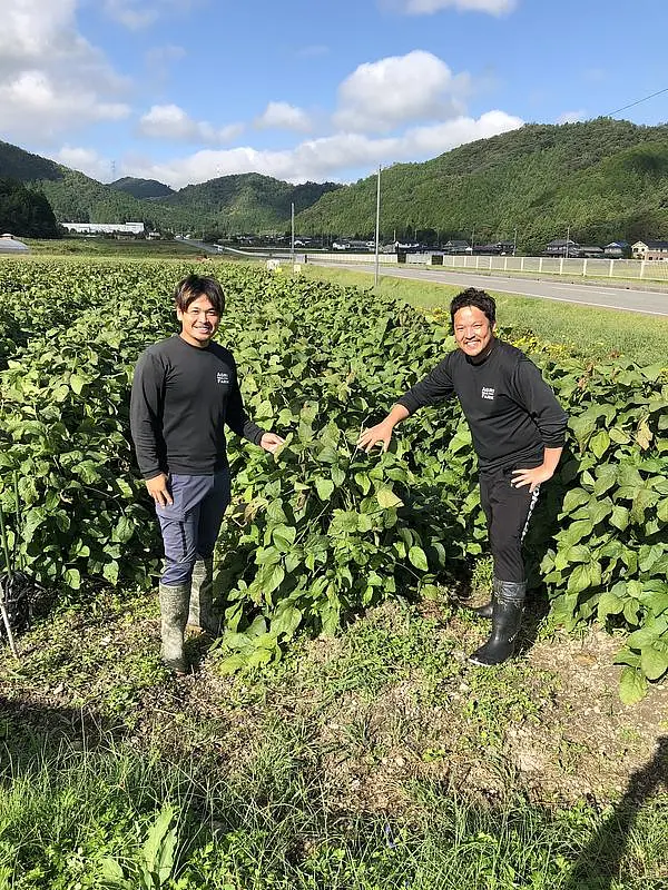 【6/11開催】丹波篠山が誇る黒枝豆（黒豆）の種まき体験&開発商品の試食体験