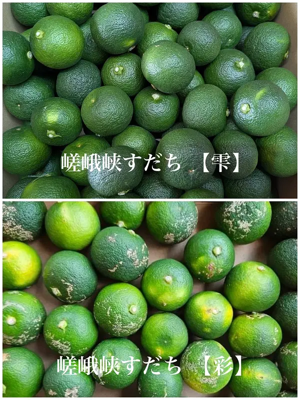 嵯峨峡ファームのQ&Aコーナー①