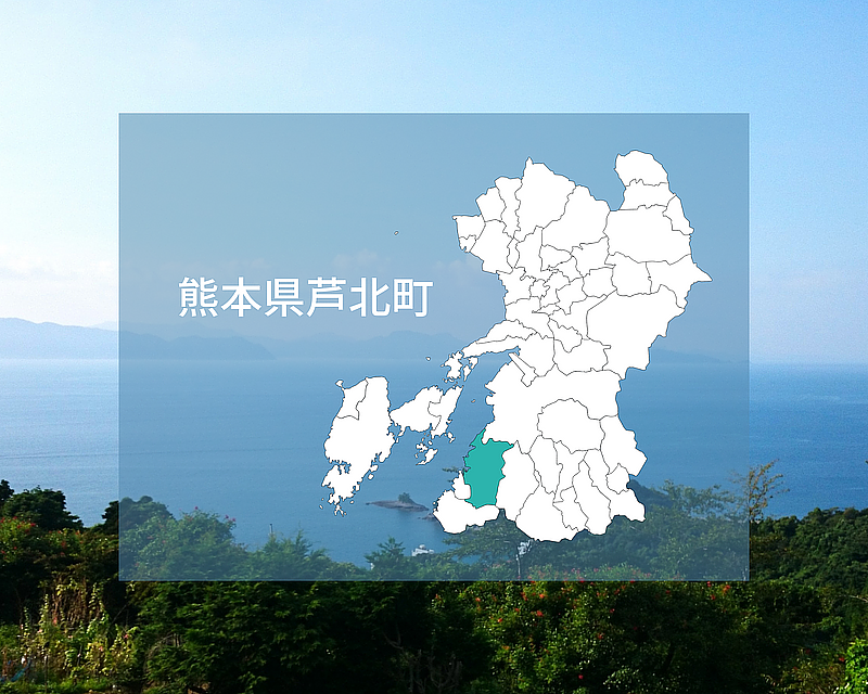 【2日間ハッカソン（4/22・4/23）】熊本県芦北町の未利用魚「アカエイ」を活用した商品開発・地方創生プロジェクト