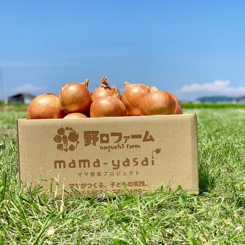 【北海道・沖縄】mama-yasai 完熟たまねぎ５kg