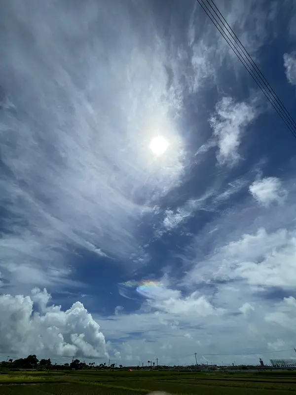 新米　コシヒカリ　１０キロ　北海道・沖縄エリアを除く