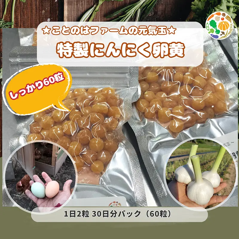 頑張りたい人専用：特製にんにく卵黄 しっかり60粒パック（送料無料）