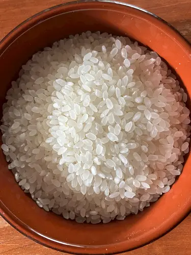 Pocket Owners (ポケット・オーナーズ)