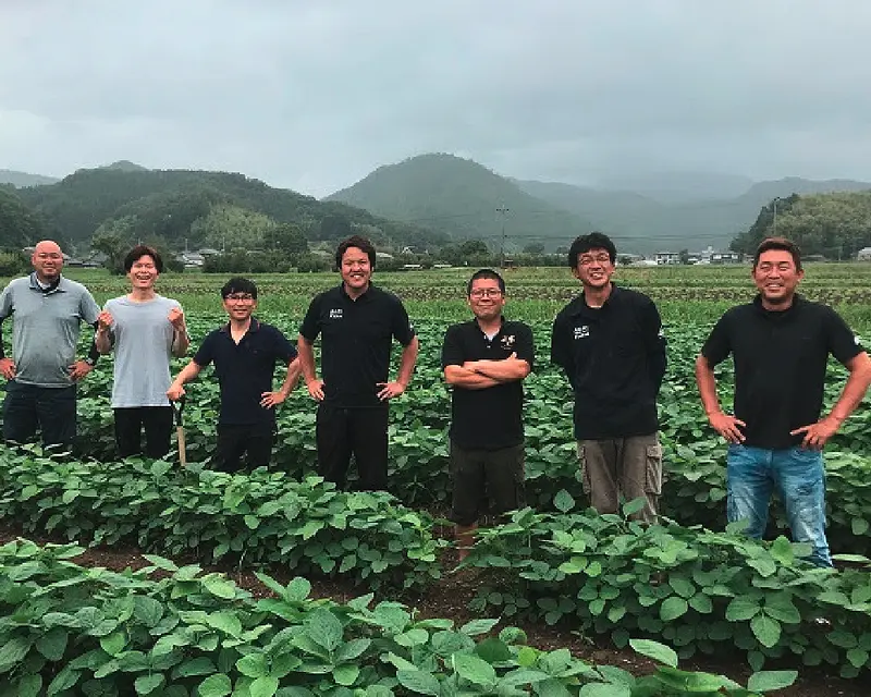 丹波篠山の夏を味わい尽くす、デカンショ豆の収穫体験（7月・8月開催）