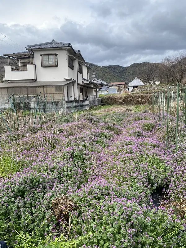 春の大掃除大作戦～Before～