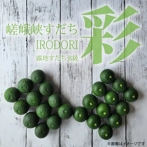 嵯峨峡すだち　彩　3kg