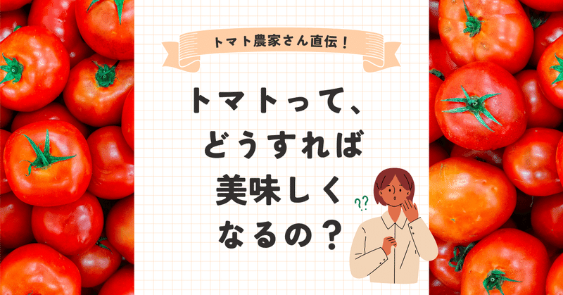 トマト農家に聞くトマトの育て方。おすすめ初心者向け簡単レシピも紹介🍅【Pocket Ownersで推し農家×岡田農産さま（加西とまと）】