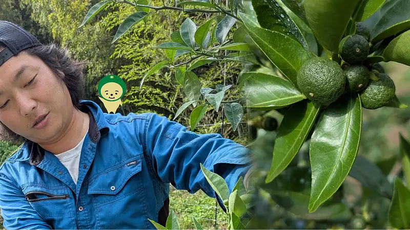 🌿すだち、ぐんぐん成長中！